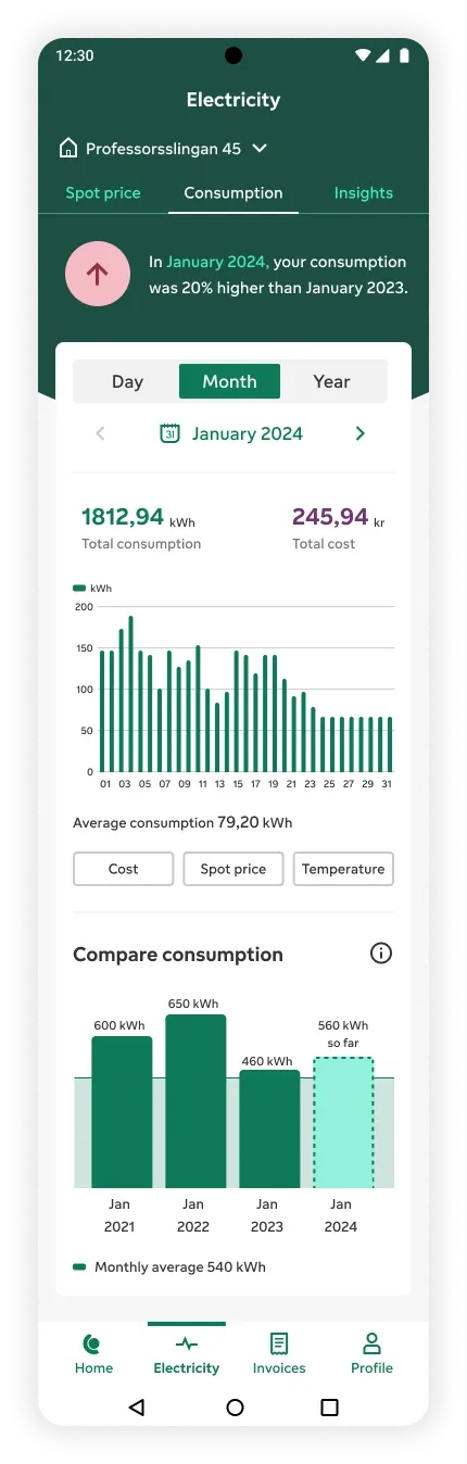 Detail Detective: Consumption screen