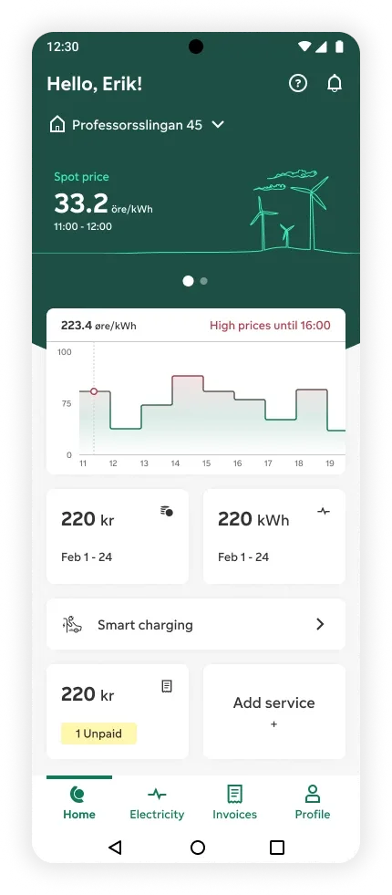 Bird's Eye View: Home screen