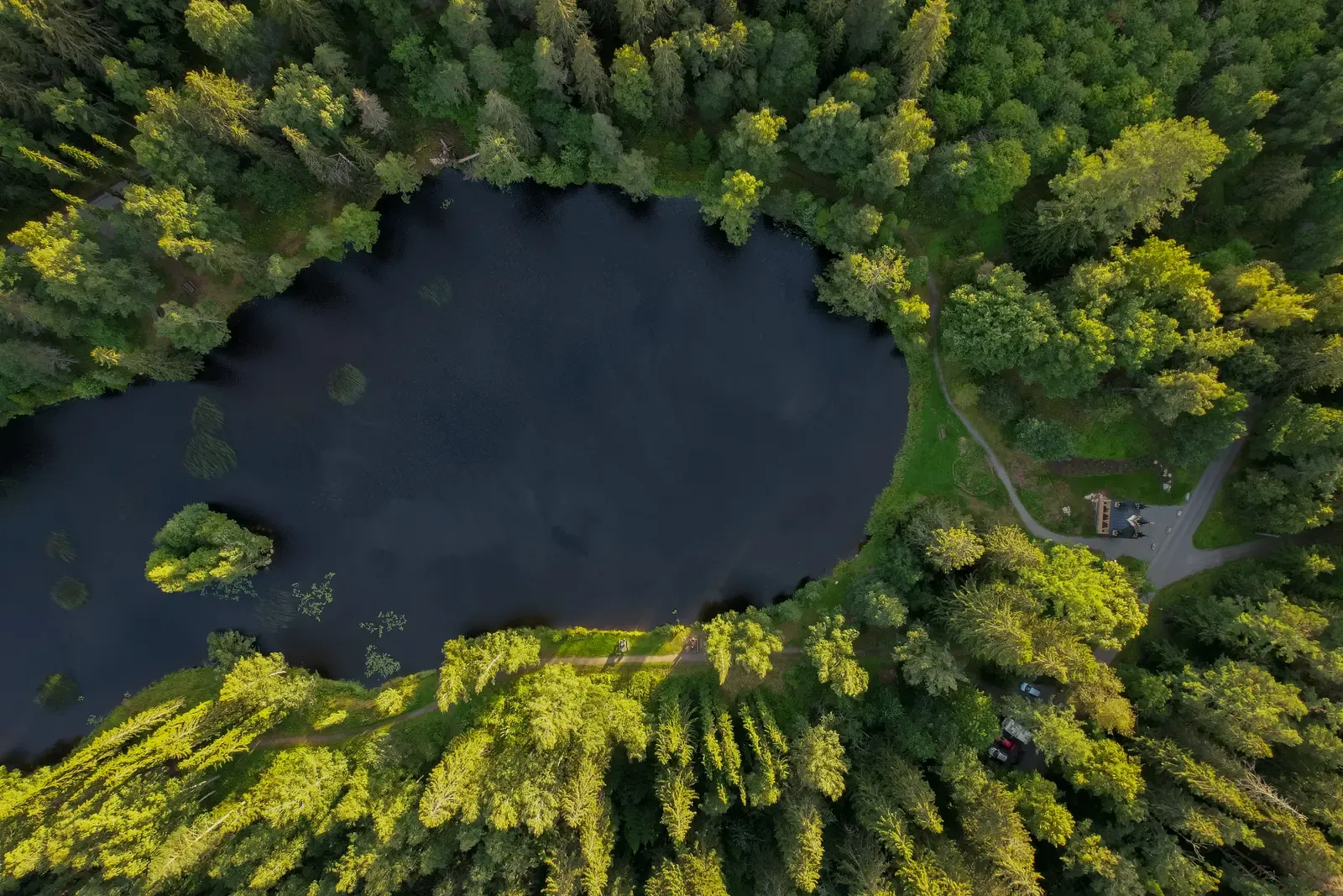 Aerial view of a forest around a dark round pond