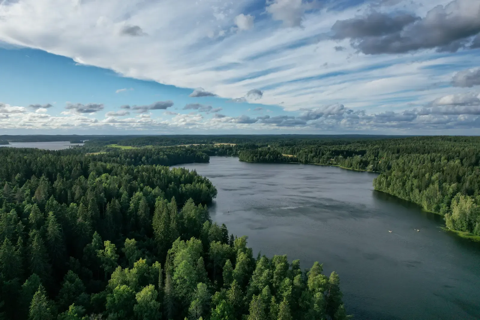 Aerial view of a forested lake shore under big clouds